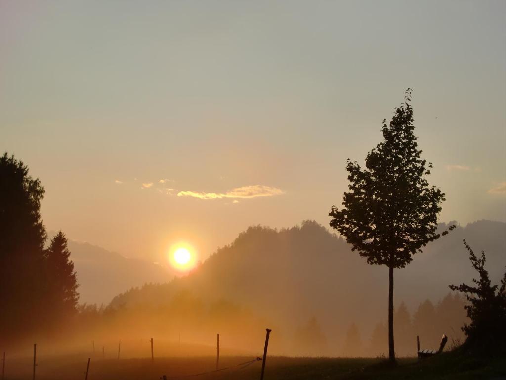 Hauserhof Am Goldberg เดลลัค ภายนอก รูปภาพ